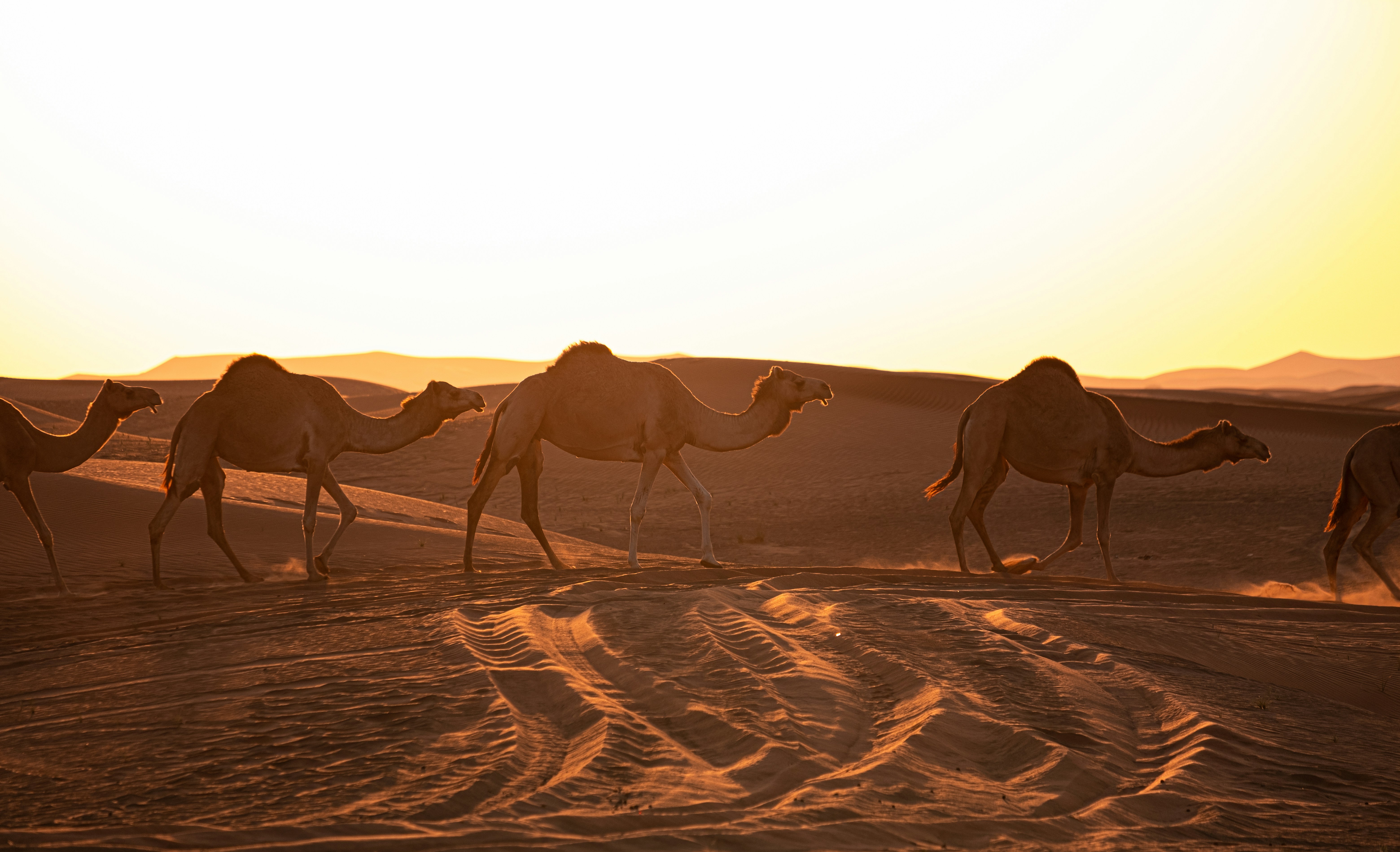 3-Day Atlas Adventure