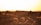 A group of camels walking across sandy dunes in a desert landscape during sunset, with the sun casting a warm glow and long shadows on the sand.
