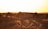 A group of camels walking across sandy dunes in a desert landscape during sunset, with the sun casting a warm glow and long shadows on the sand.