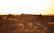 A small group enjoying a sunset camel ride in the desert with warm golden light.