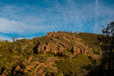 A rugged hillside being cleared with a small mulch machine under a warm afternoon sun.