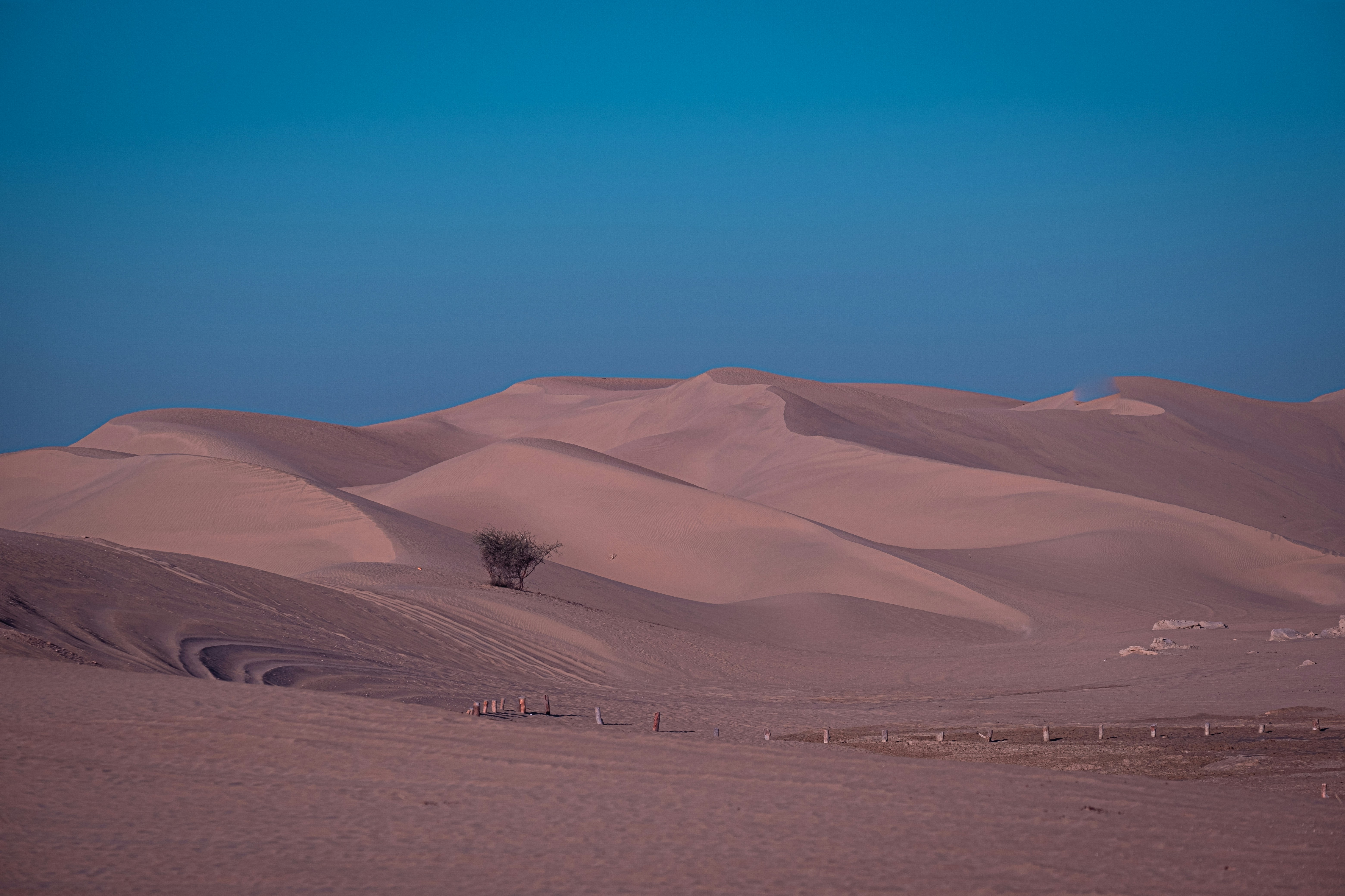 Photo by mo_design_3d