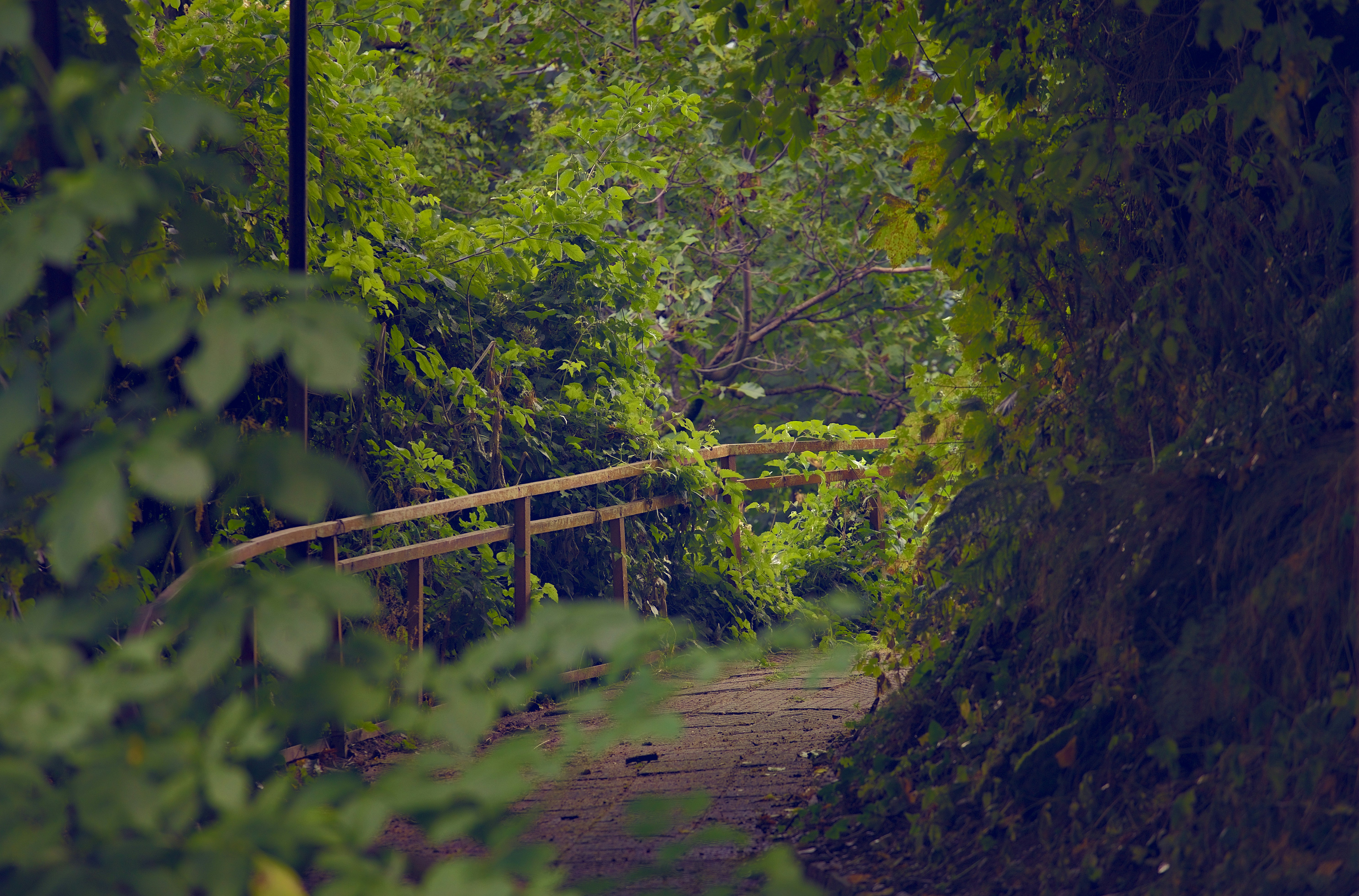 Photo by blooddrainer