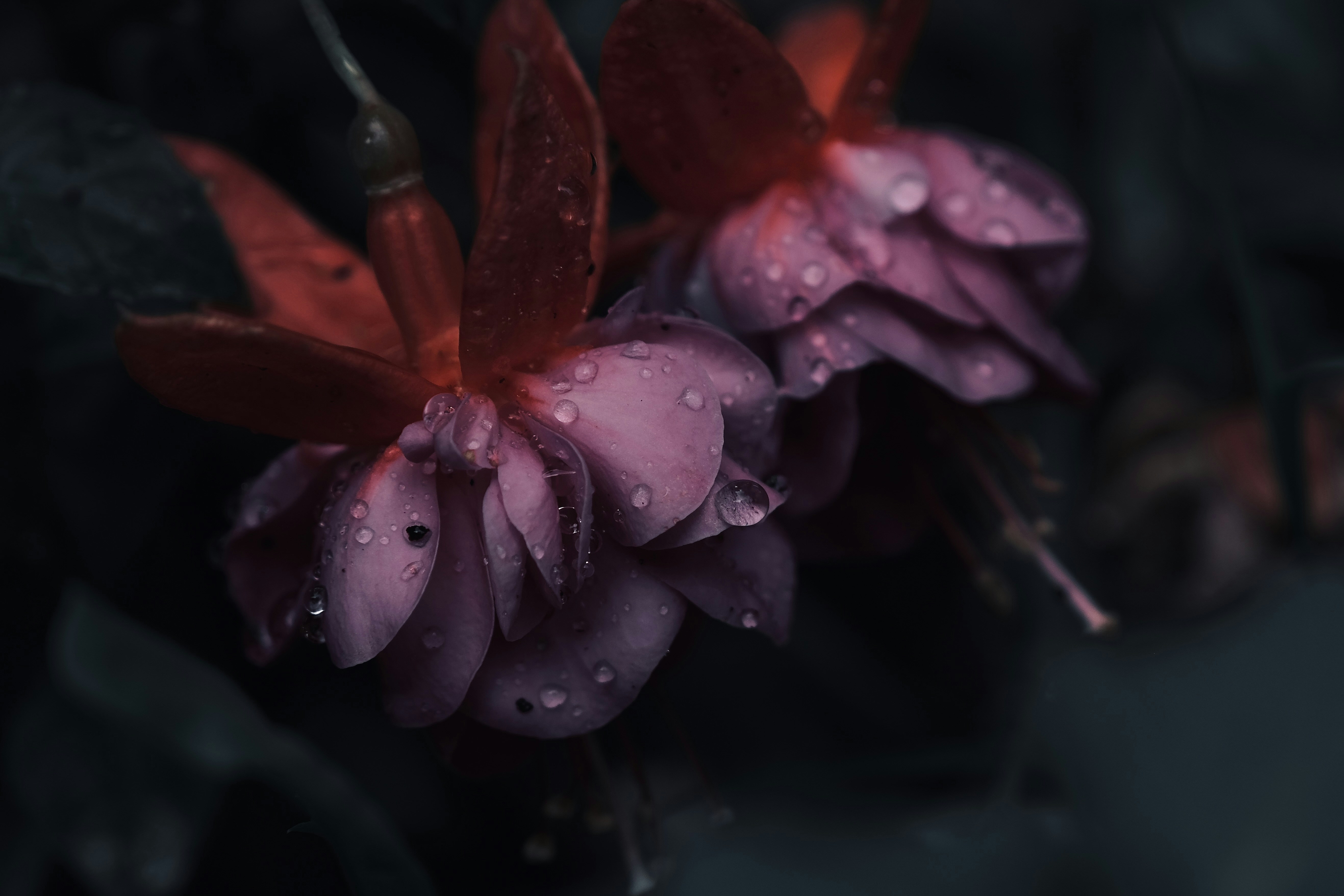 Photo by mkrawczynski