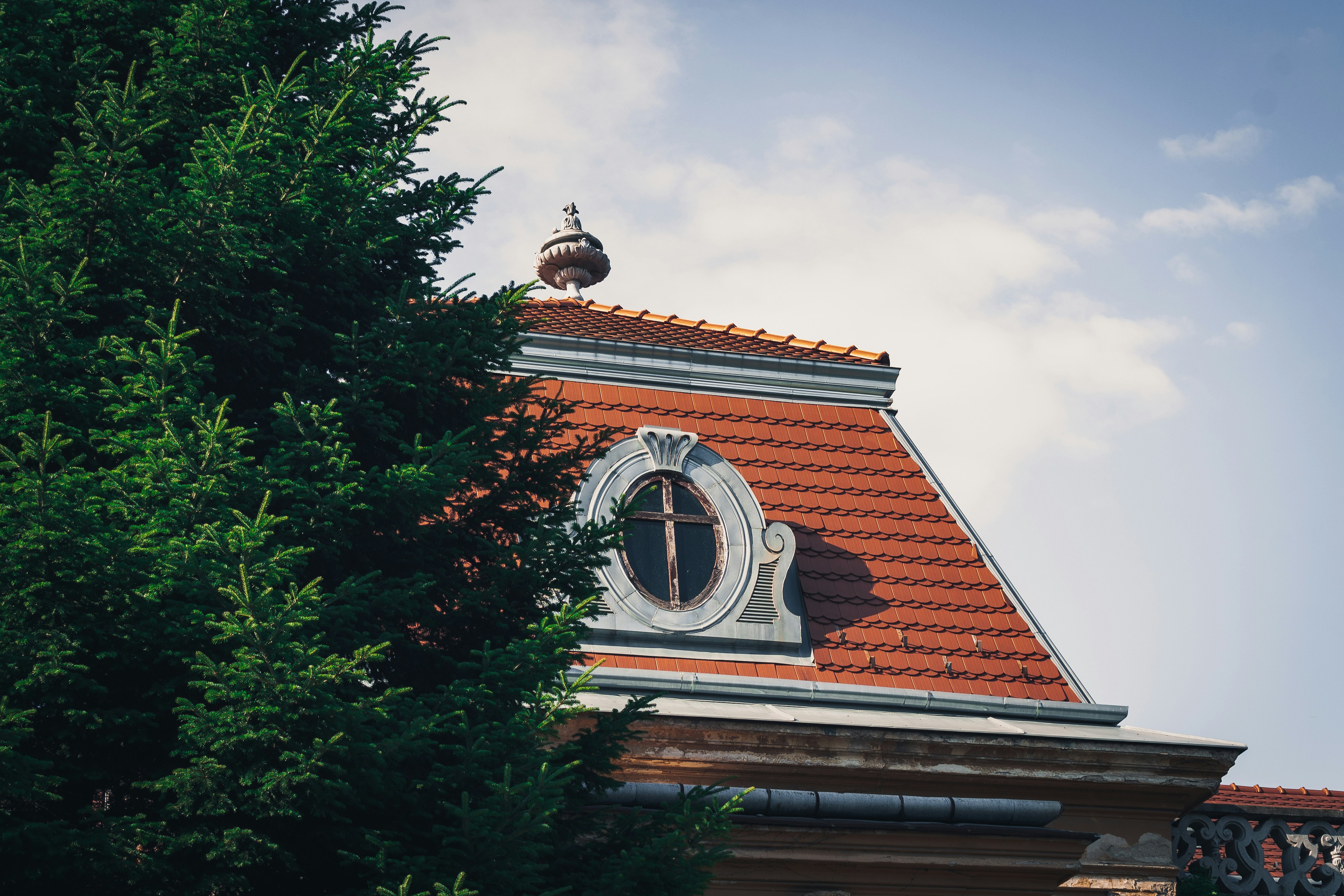 Photo by czapp_botond