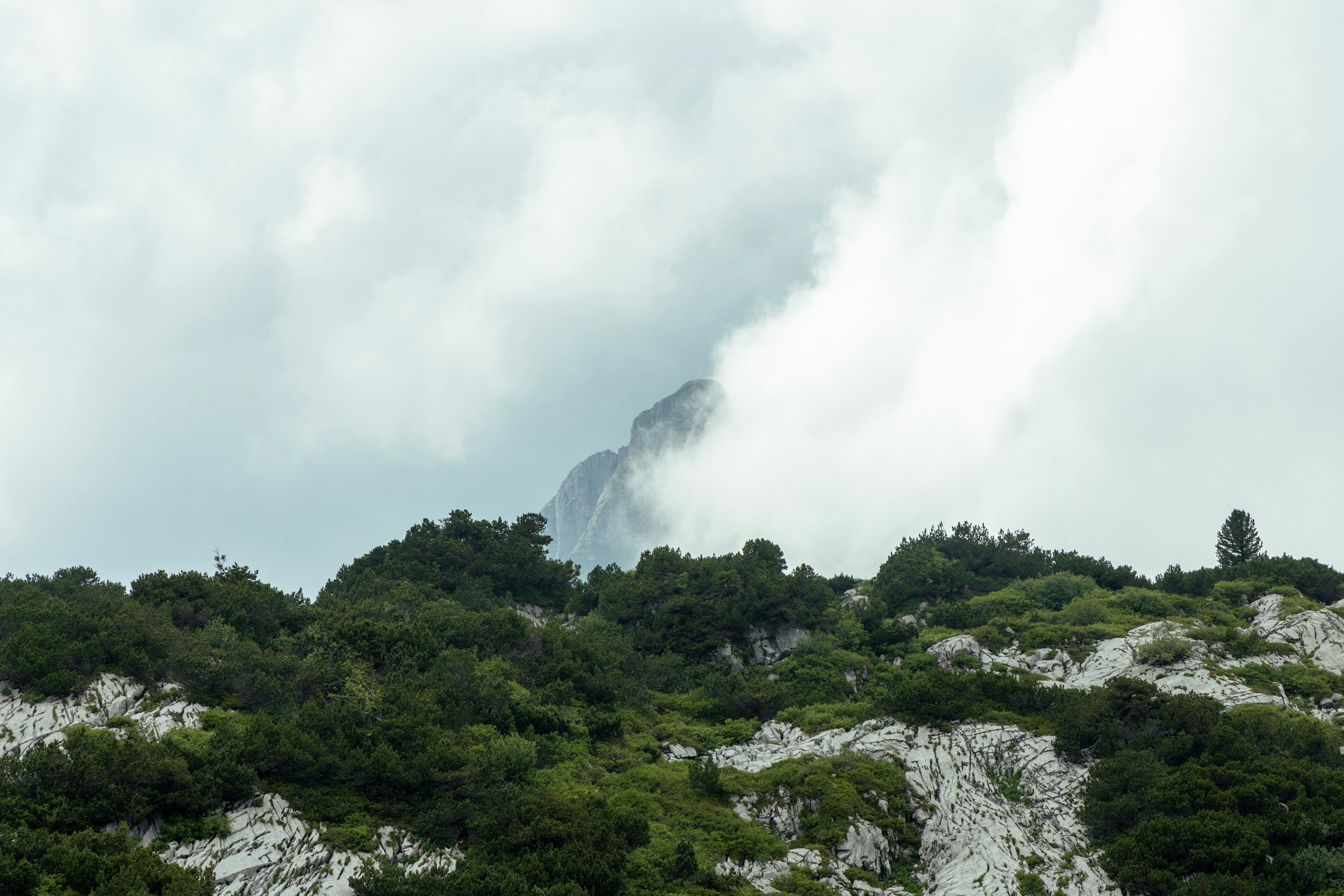 Photo by michael_baer