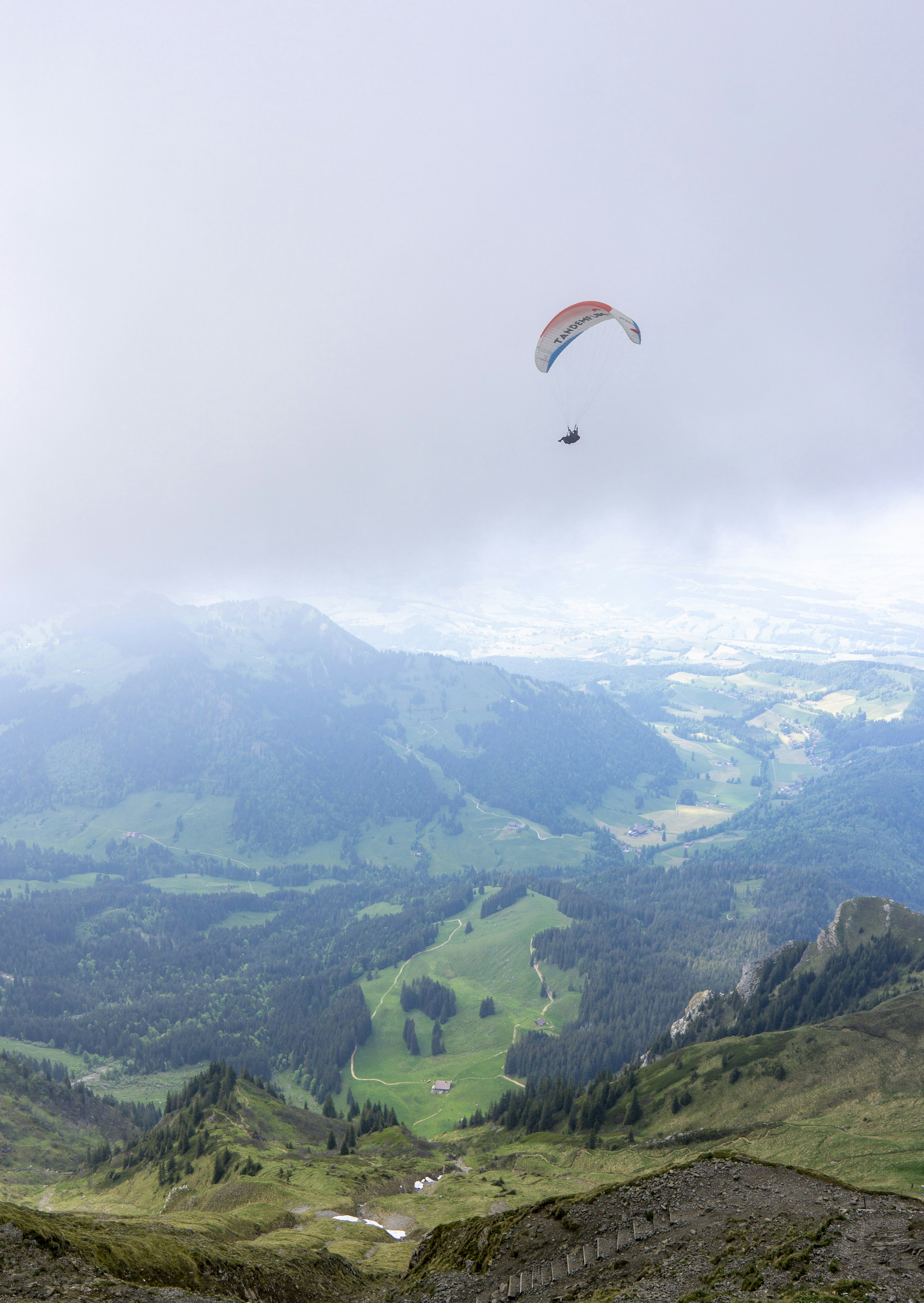 緑豊かな渓谷の上を飛ぶパラグライダー