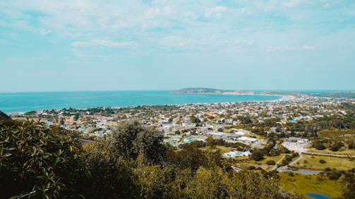 A scenic coastal town view with a mix of urban structures and lush greenery. The blue ocean stretches out to the horizon, while a clear sky adds to the tranquil atmosphere. Residential and commercial buildings are scattered with trees and foliage in the foreground.