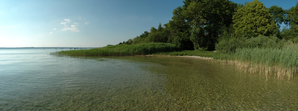 a body of water surrounded by trees and grass