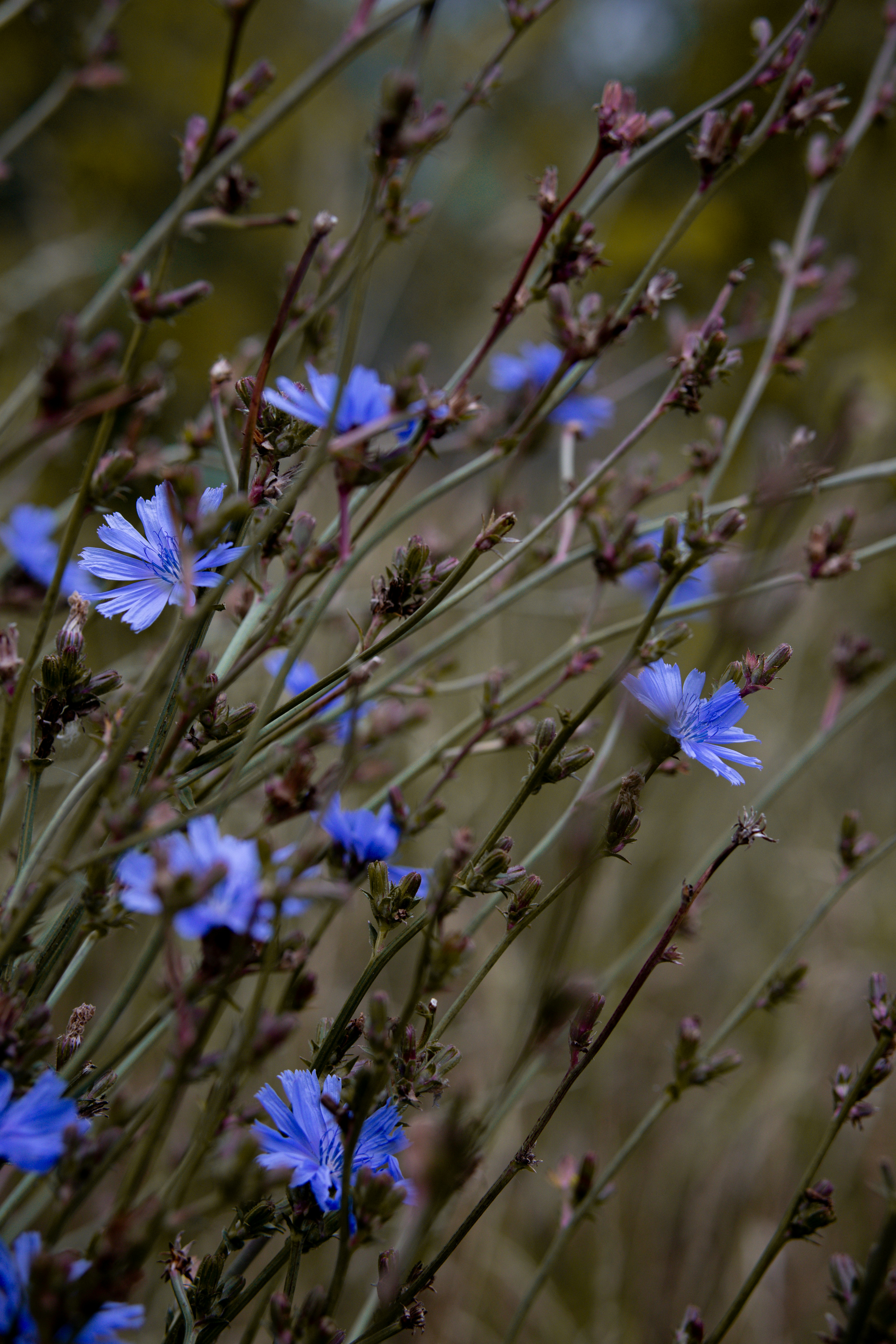 Photo by jacekjaniczak