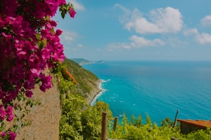 A scenic view of flowers blooming by the seaside.