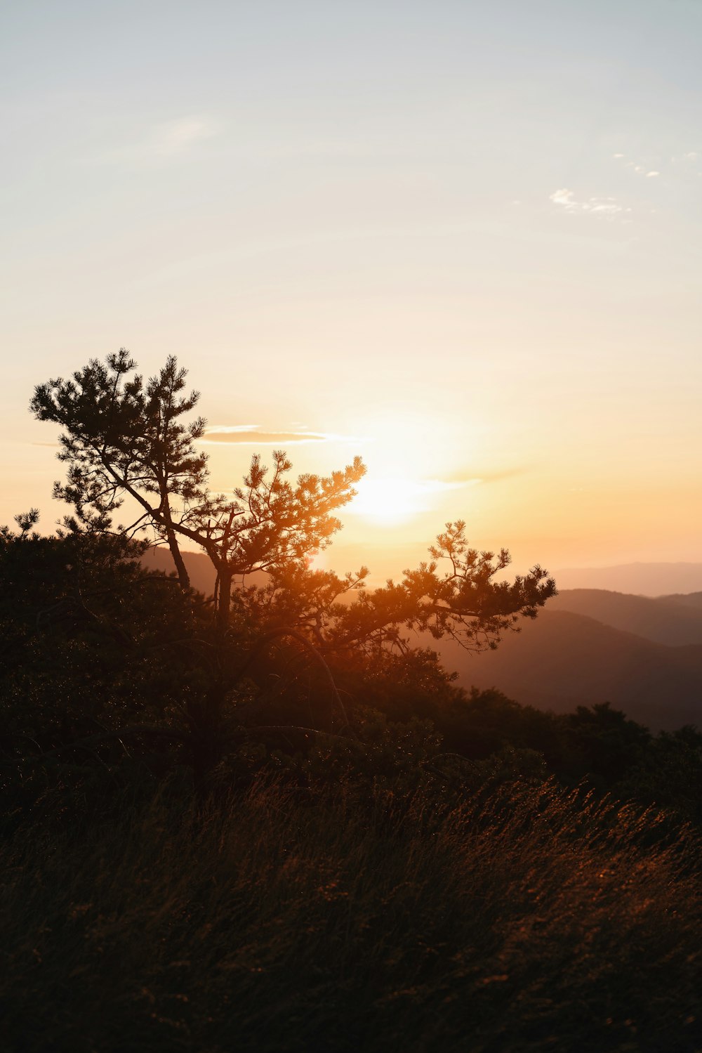 the sun is setting over the mountains with a tree in the foreground