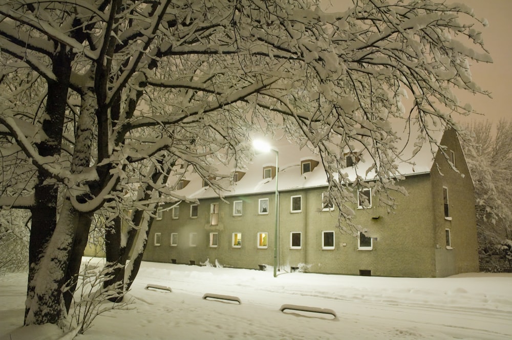 a snowy night in front of a green building