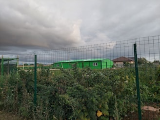 A green building surrounded by lush vegetation is visible behind a wire fence, under a cloudy sky.