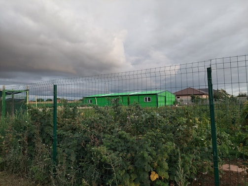 A green building surrounded by lush vegetation is visible behind a wire fence, under a cloudy sky.