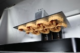 A close-up view of several dental molds aligned and held in place by a metal apparatus. The molds display detailed tooth imprints, suggesting they are used for dental purposes. The setting appears to be industrial or clinical, focusing on precision and functionality.