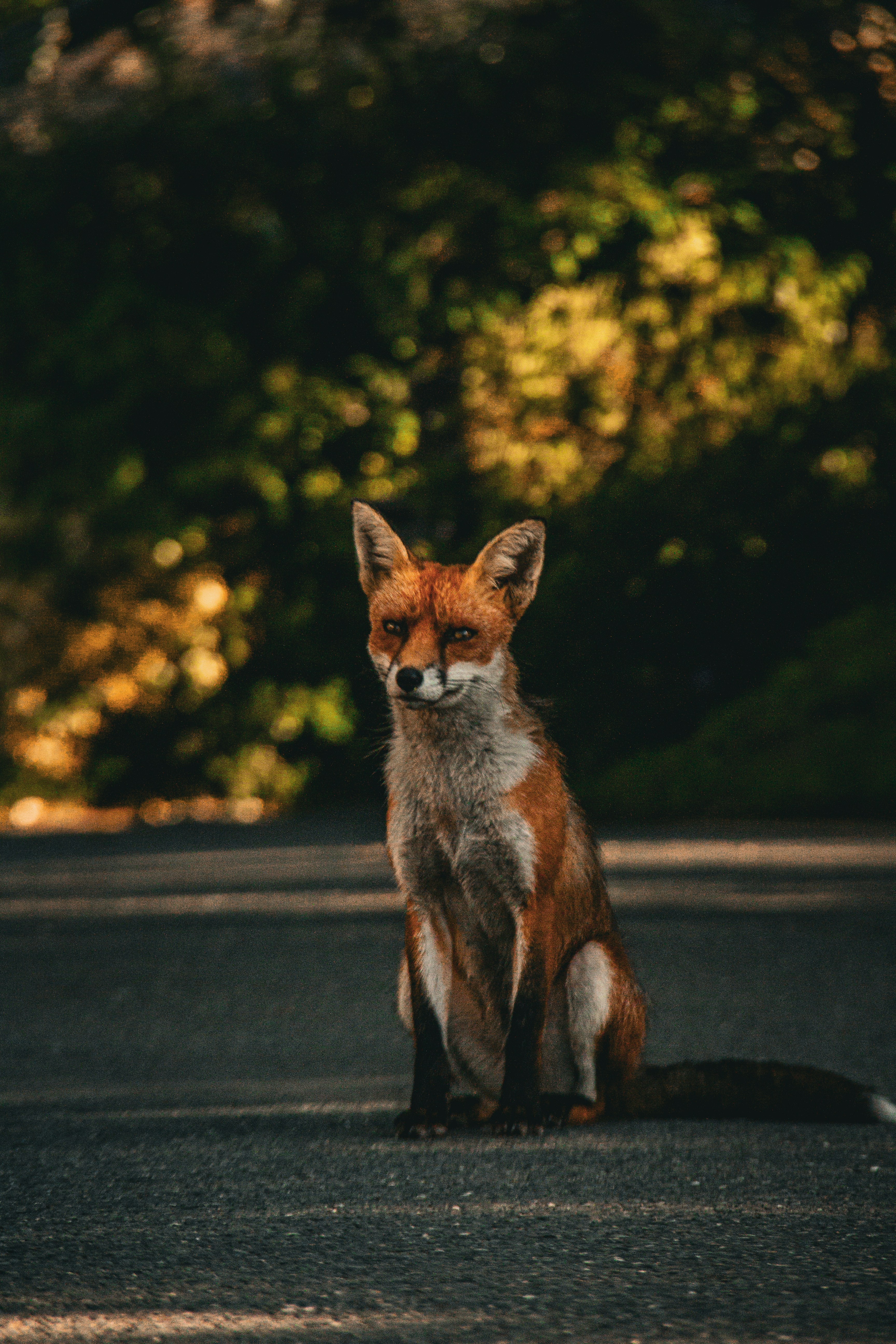 Photo by charlieh_viewfinder