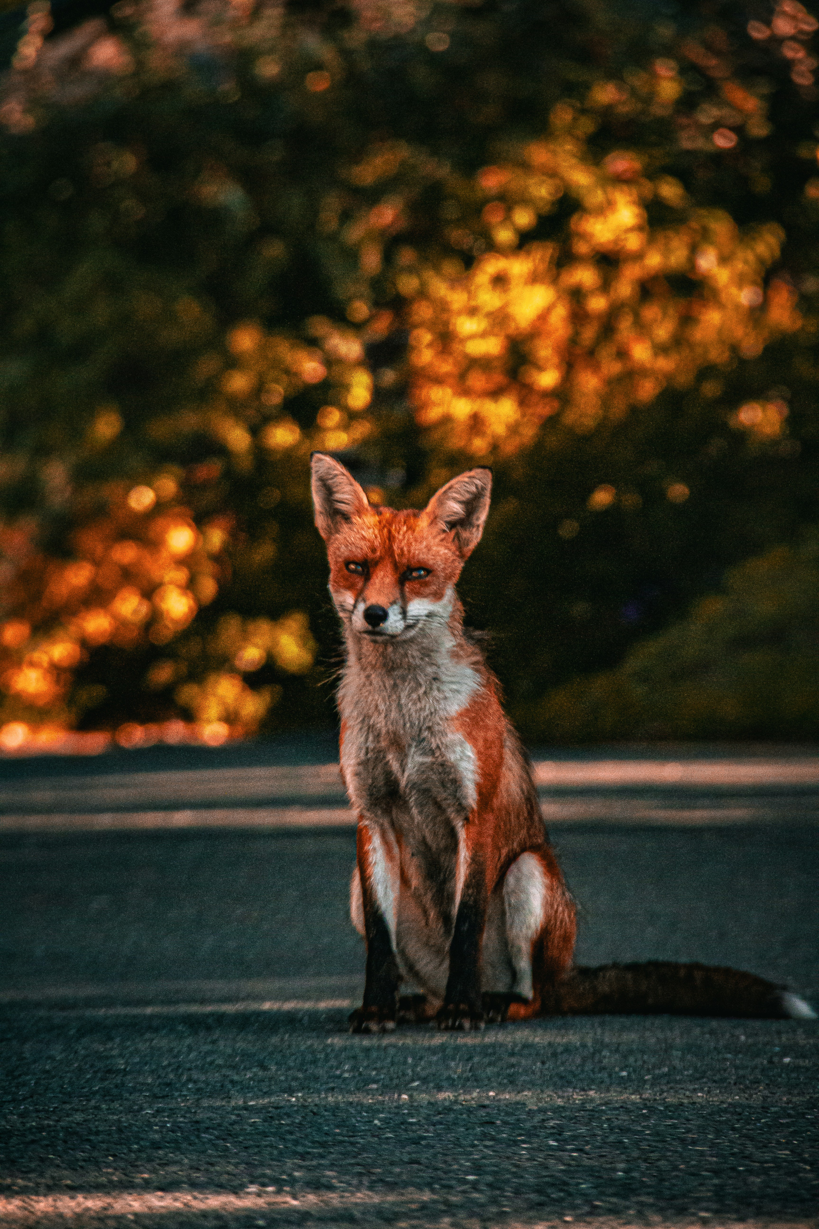 Photo by charlieh_viewfinder