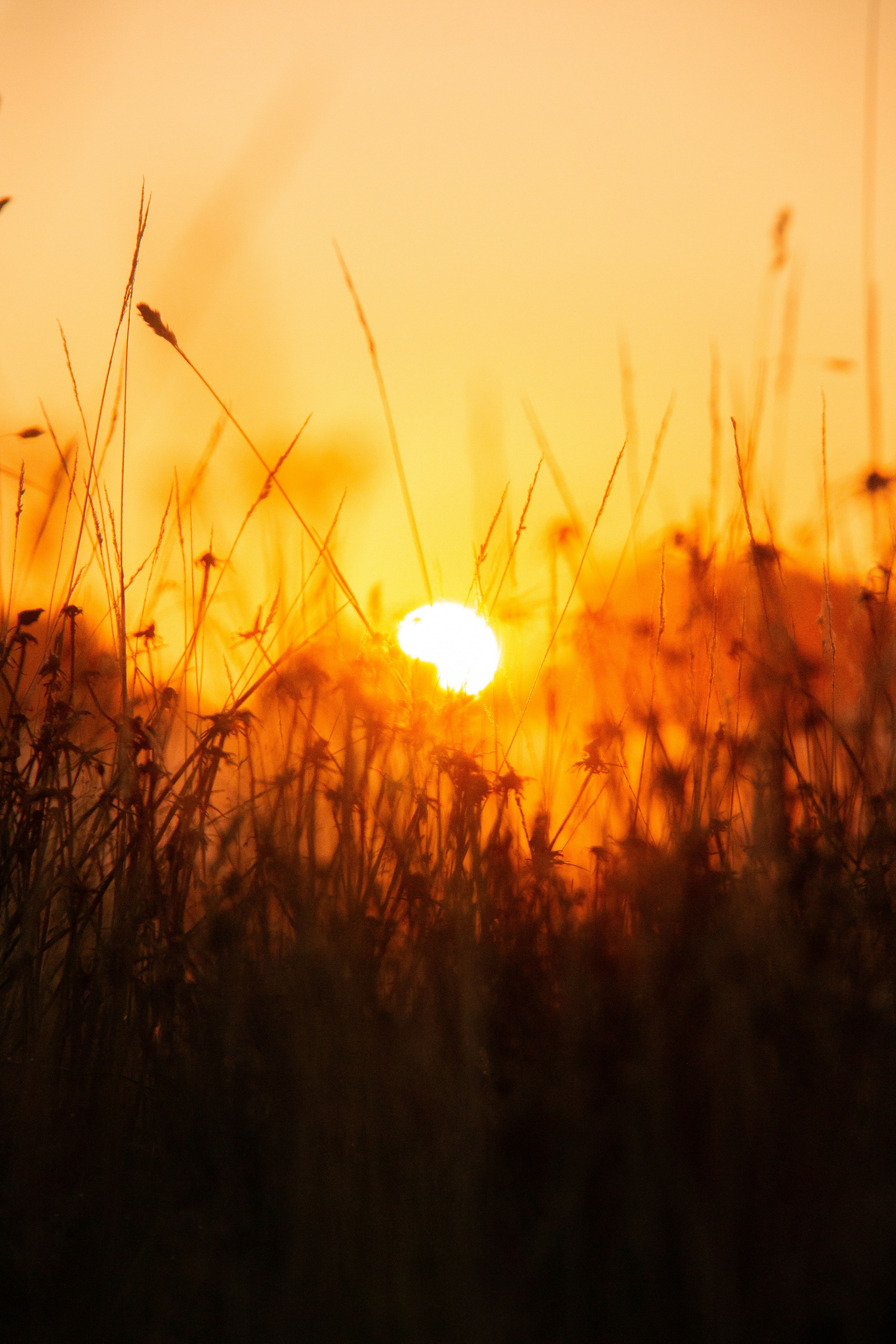 Photo by charlieh_viewfinder