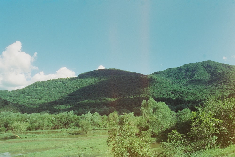 a scenic view of a lush green mountain range