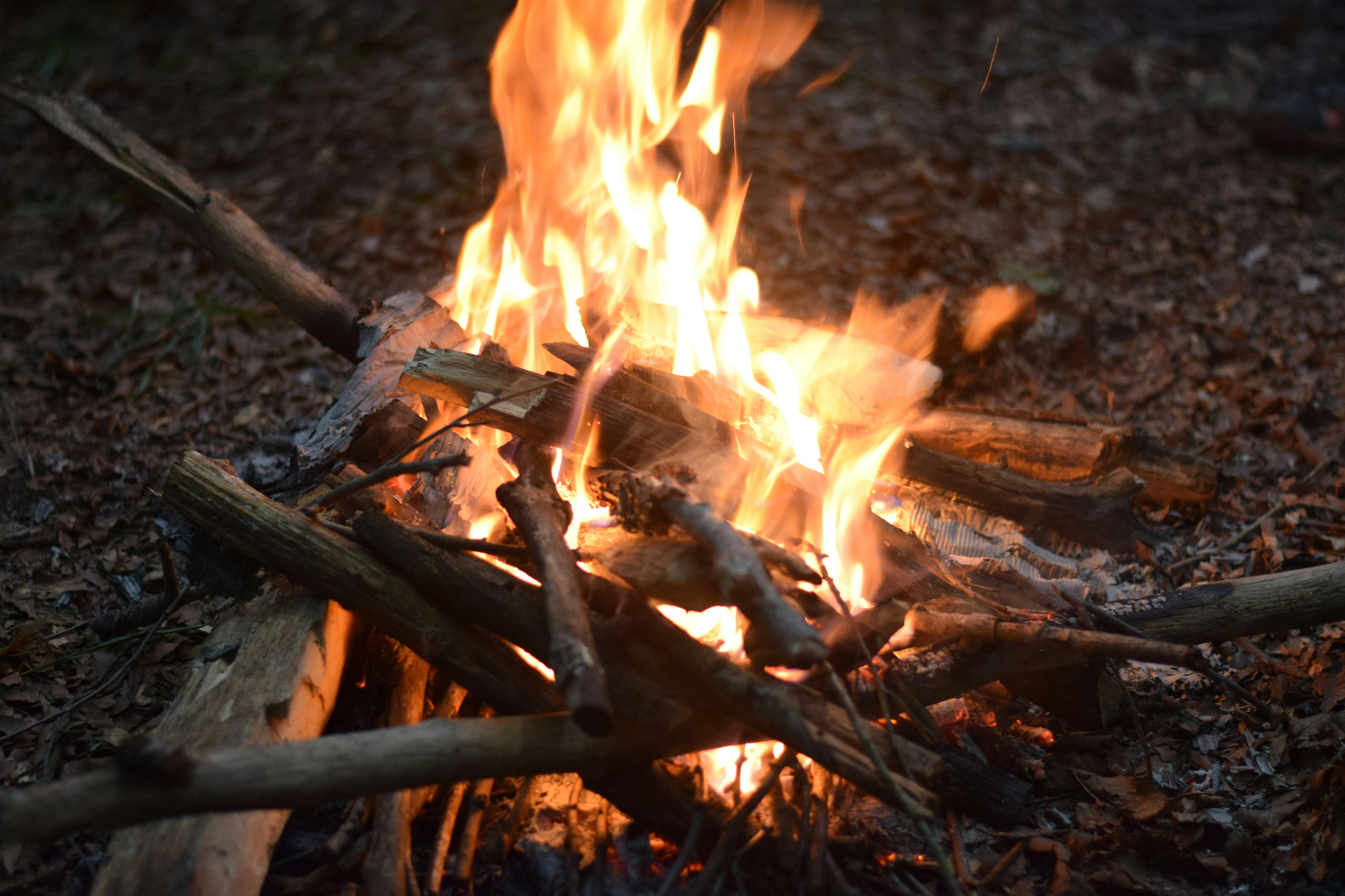 Photo by saleh_aka_jim