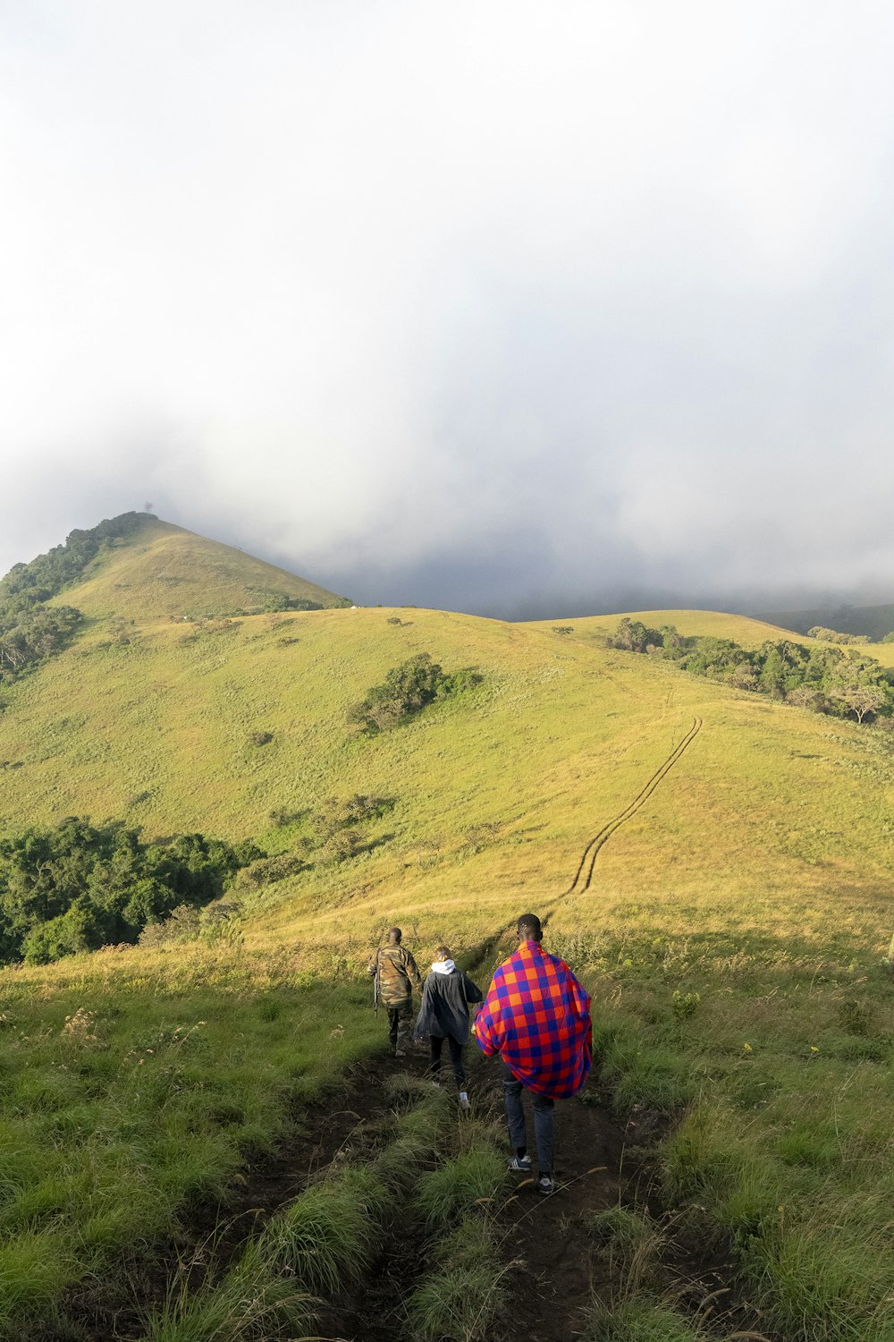 a group of people hiking up a grassy hill