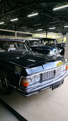 A collection of rebuilt vehicles showcasing quality craftsmanship.