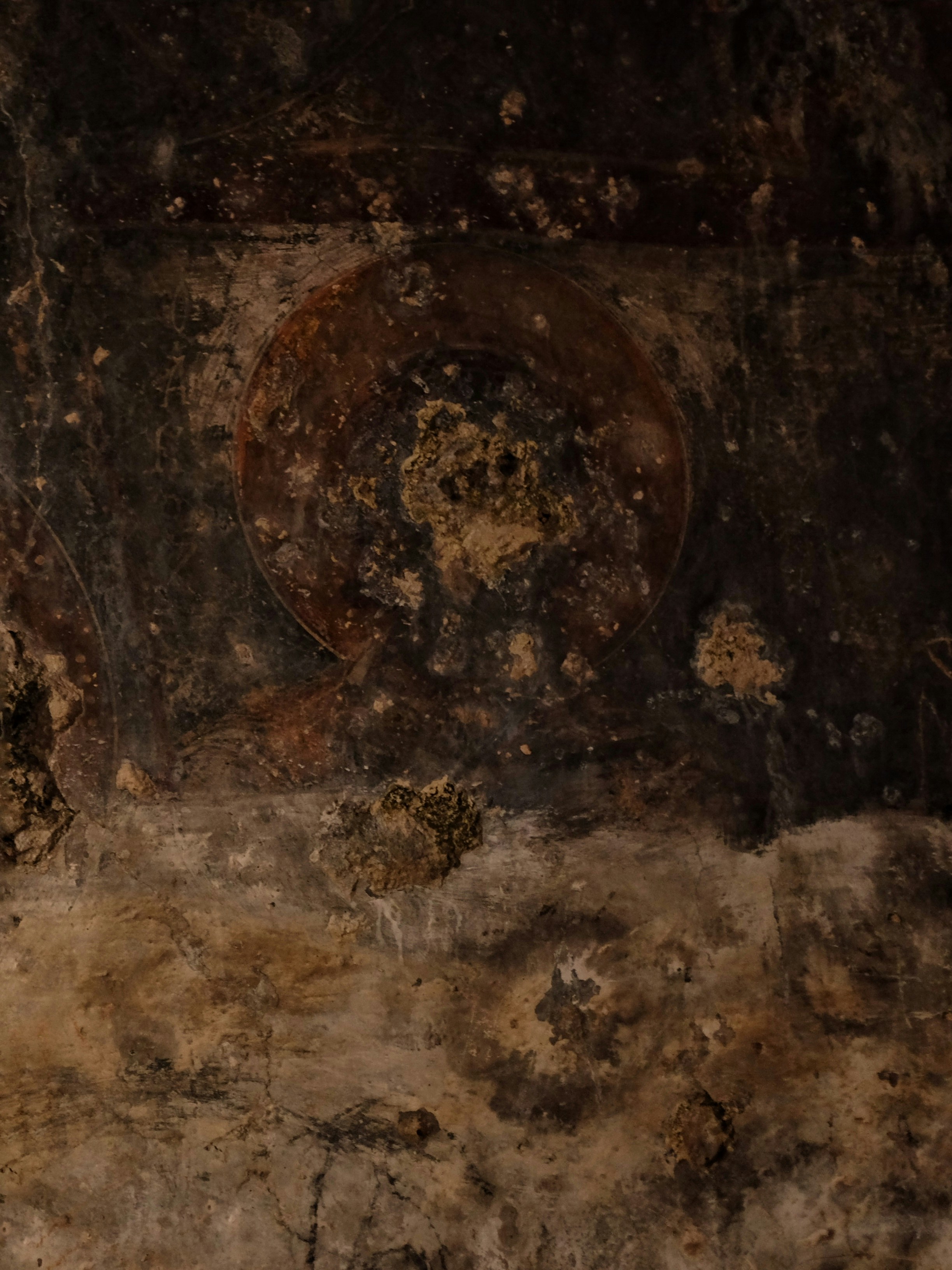 Photo by ignatkushanrev