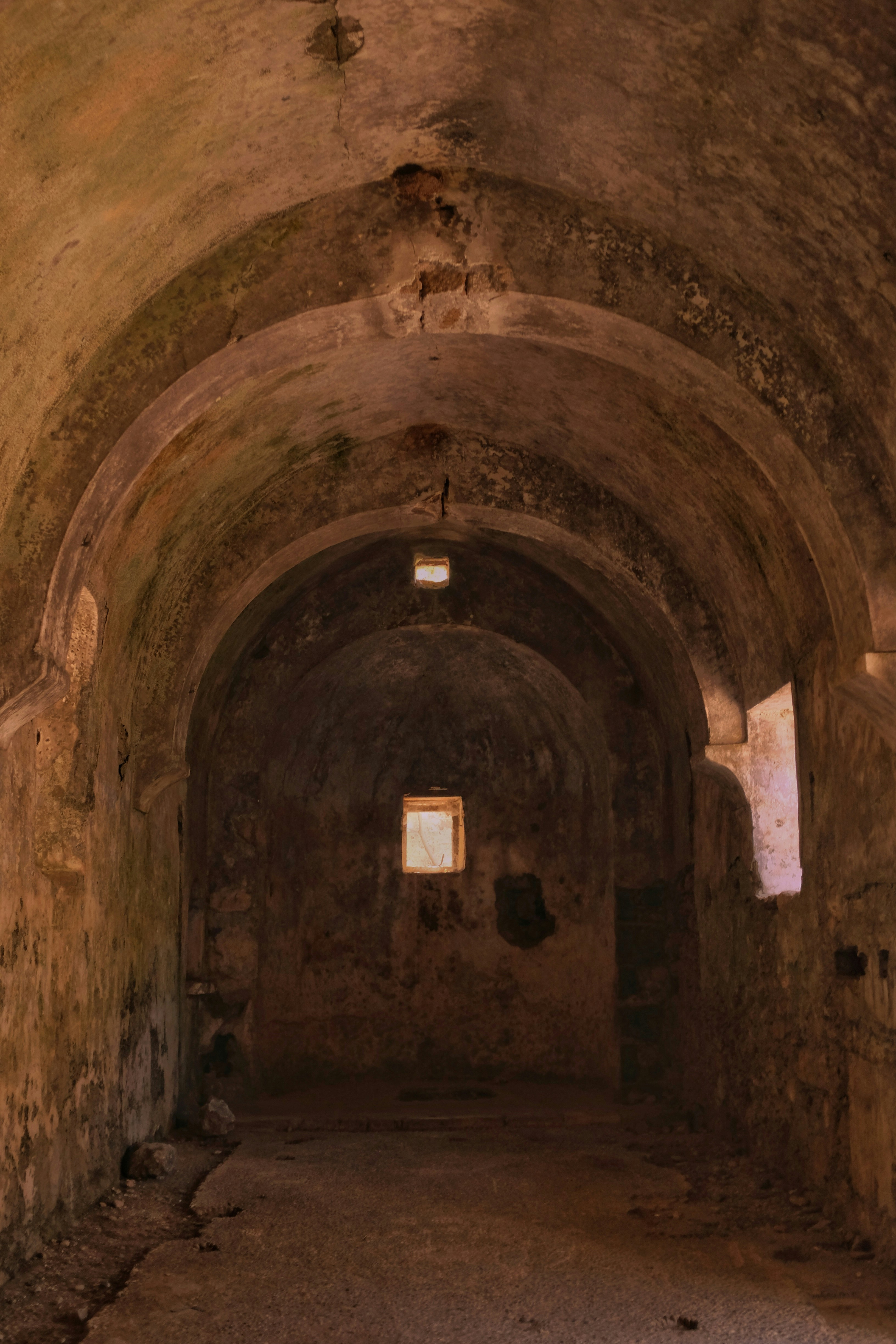 Photo by ignatkushanrev