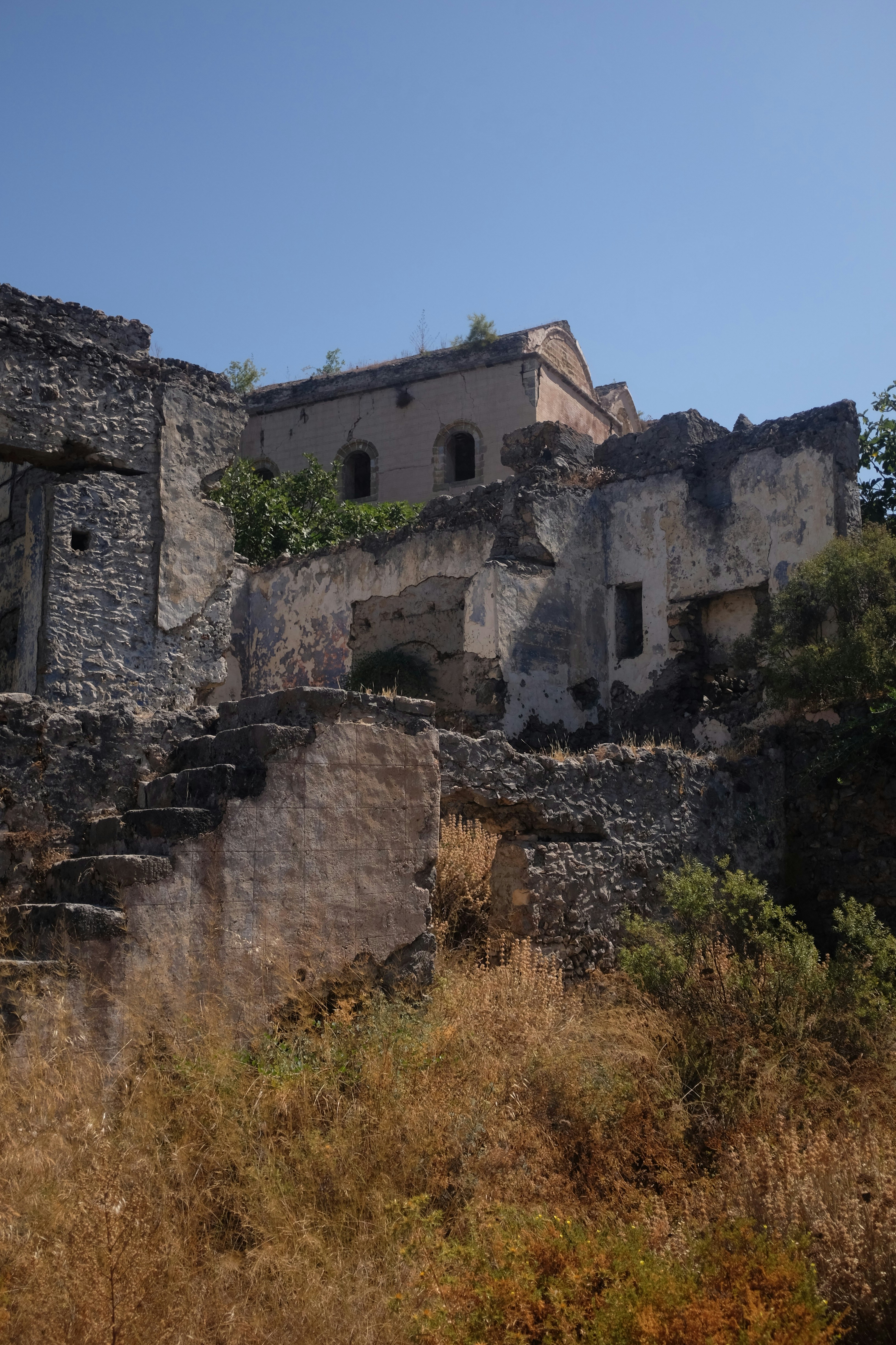 Photo by ignatkushanrev