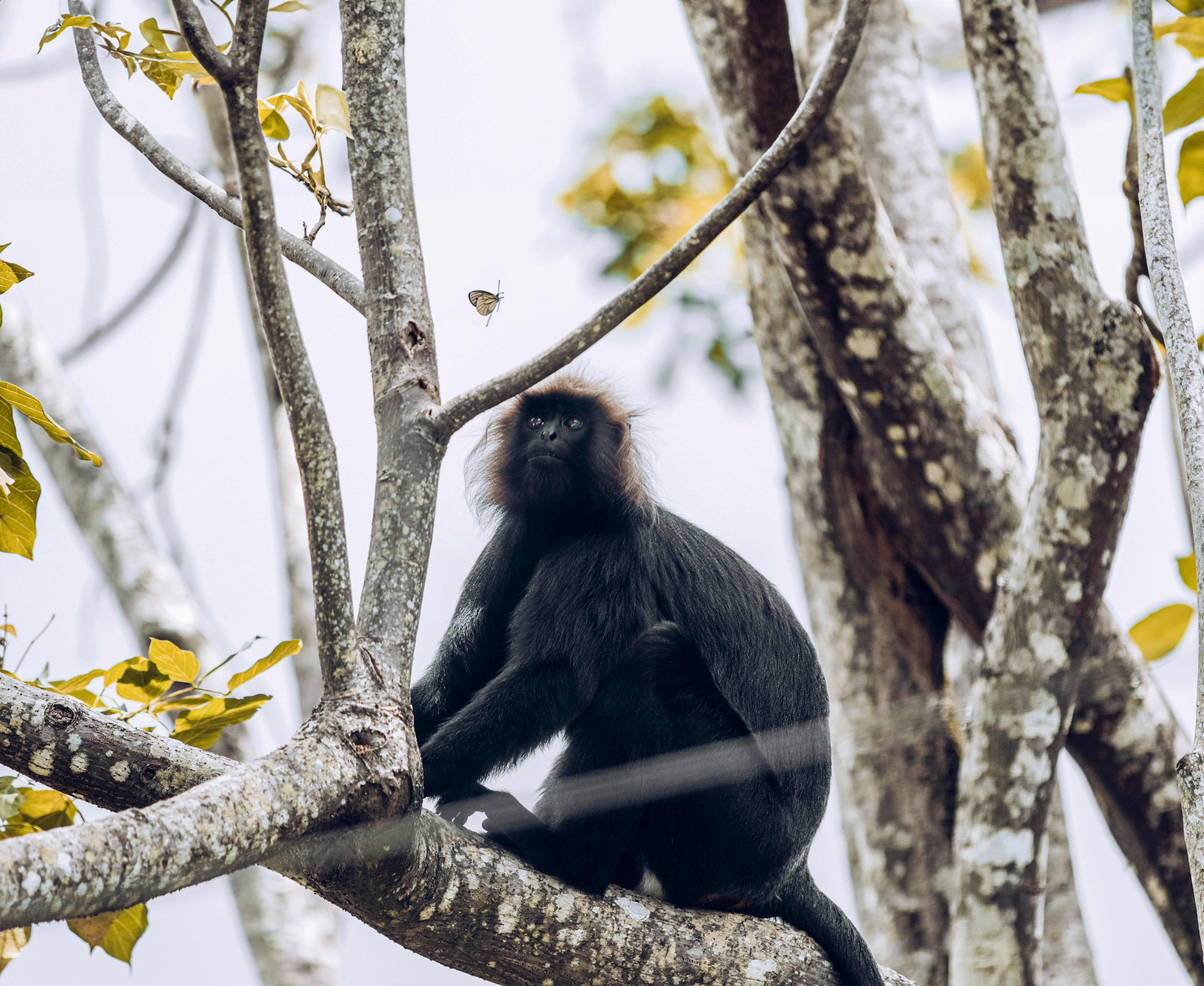 Photo by jraman_jchandran