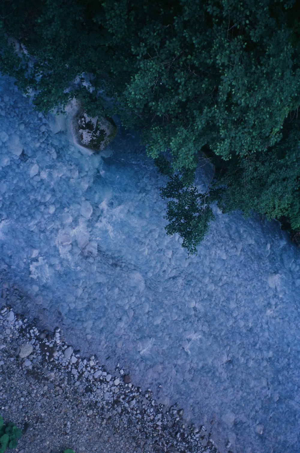 an aerial view of a river and trees at night