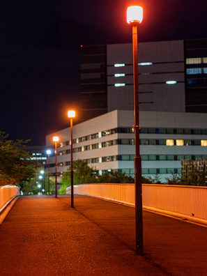 Evening view of a completed development site, with street lamps casting warm glows on the pathways.