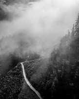 A winding trail leading through dense pine forests toward distant mountain ridges.
