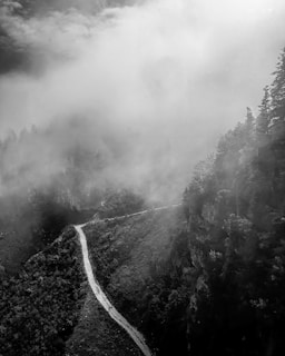 A winding trail leading through dense pine forests toward distant mountain ridges.