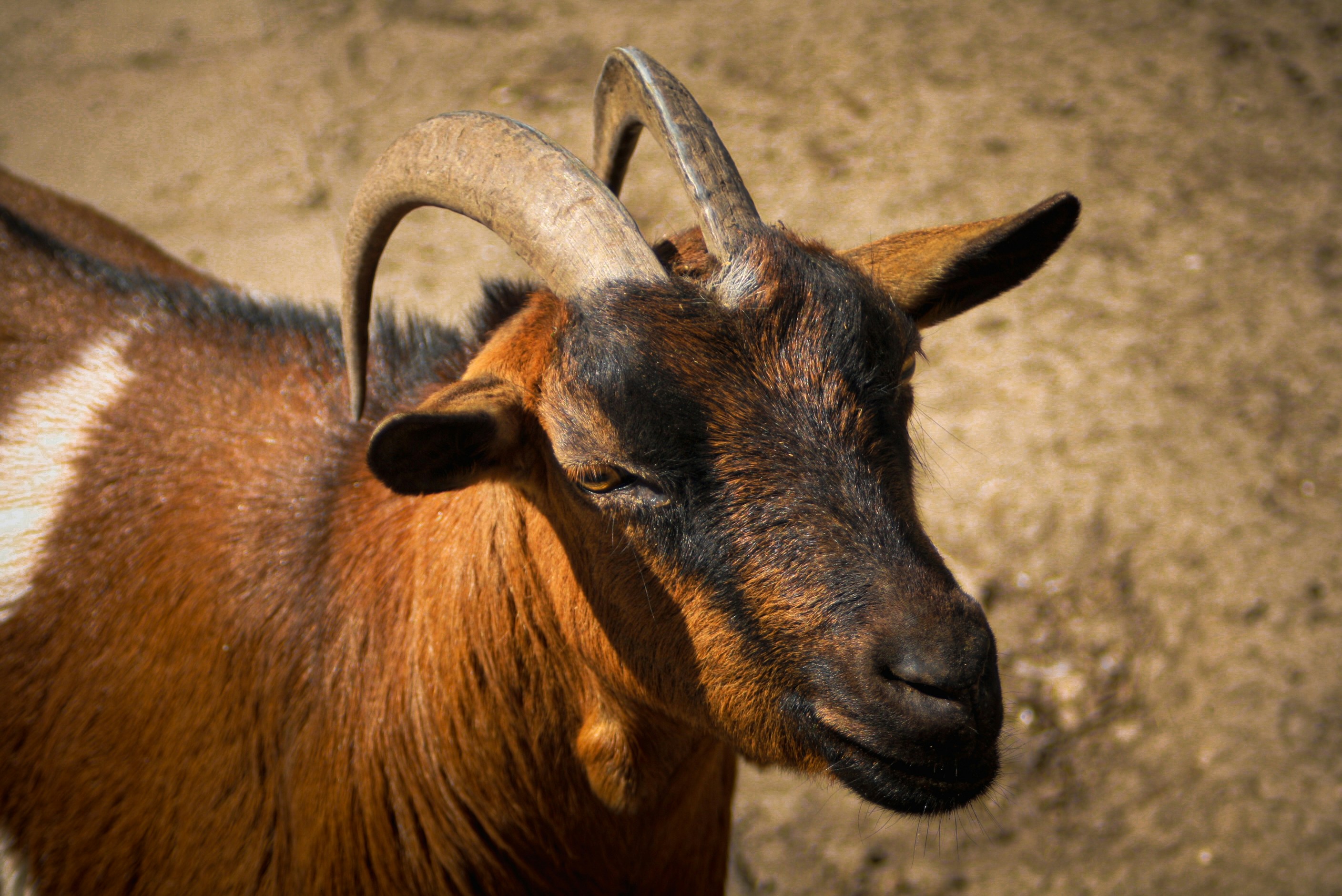 Photo by mimiivanova04