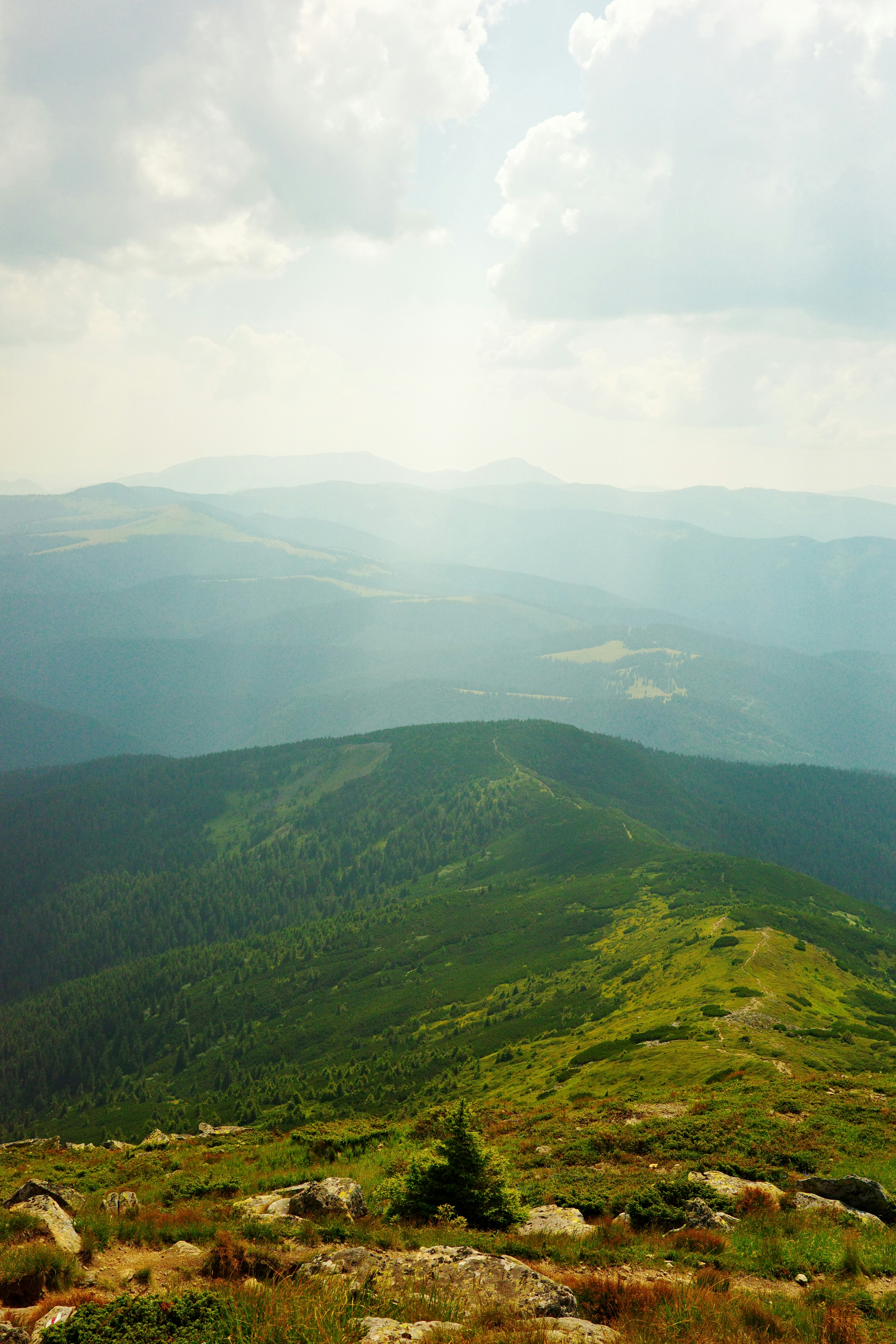 Photo by nalsur_vonakhus