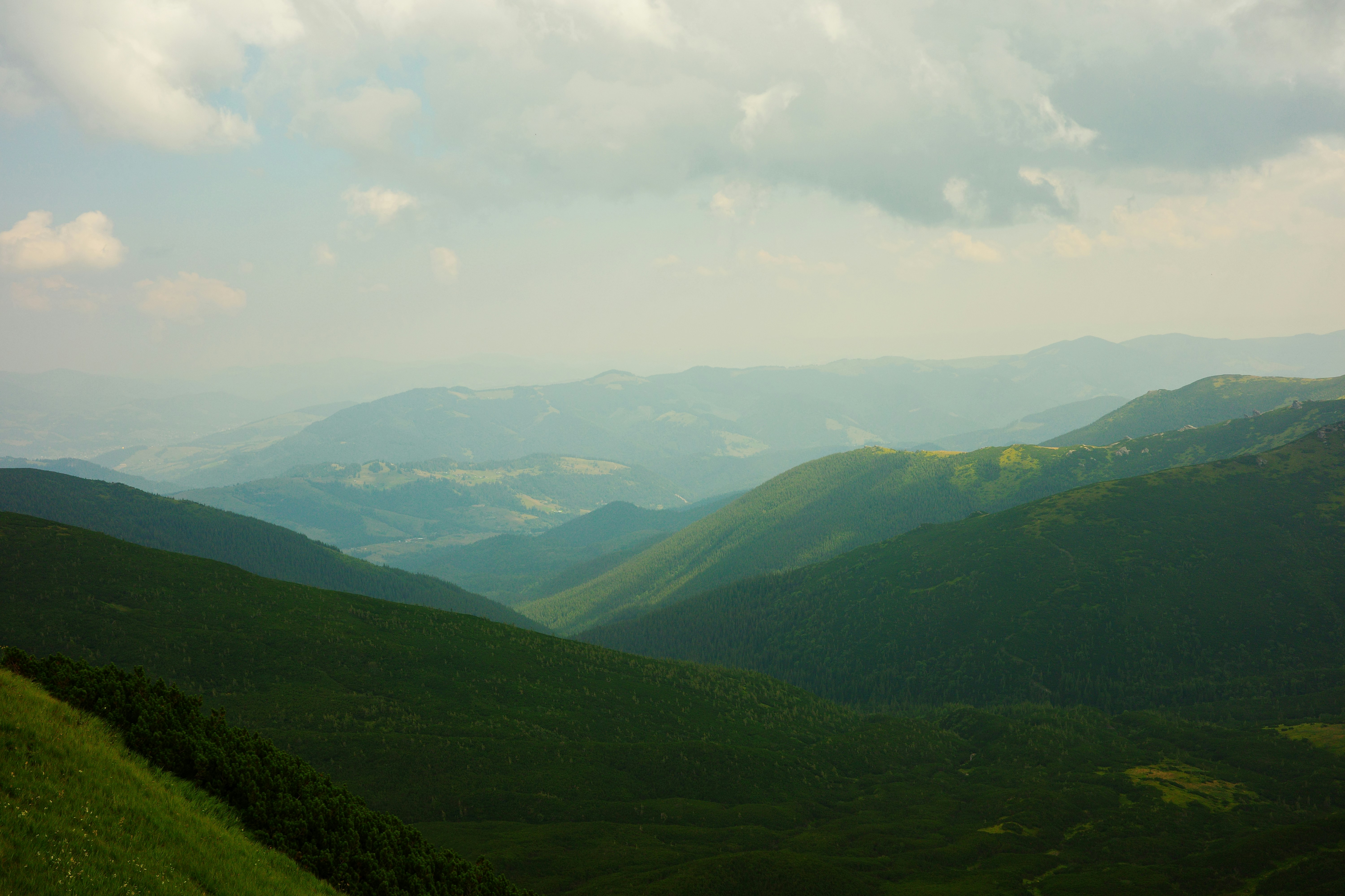 Photo by nalsur_vonakhus