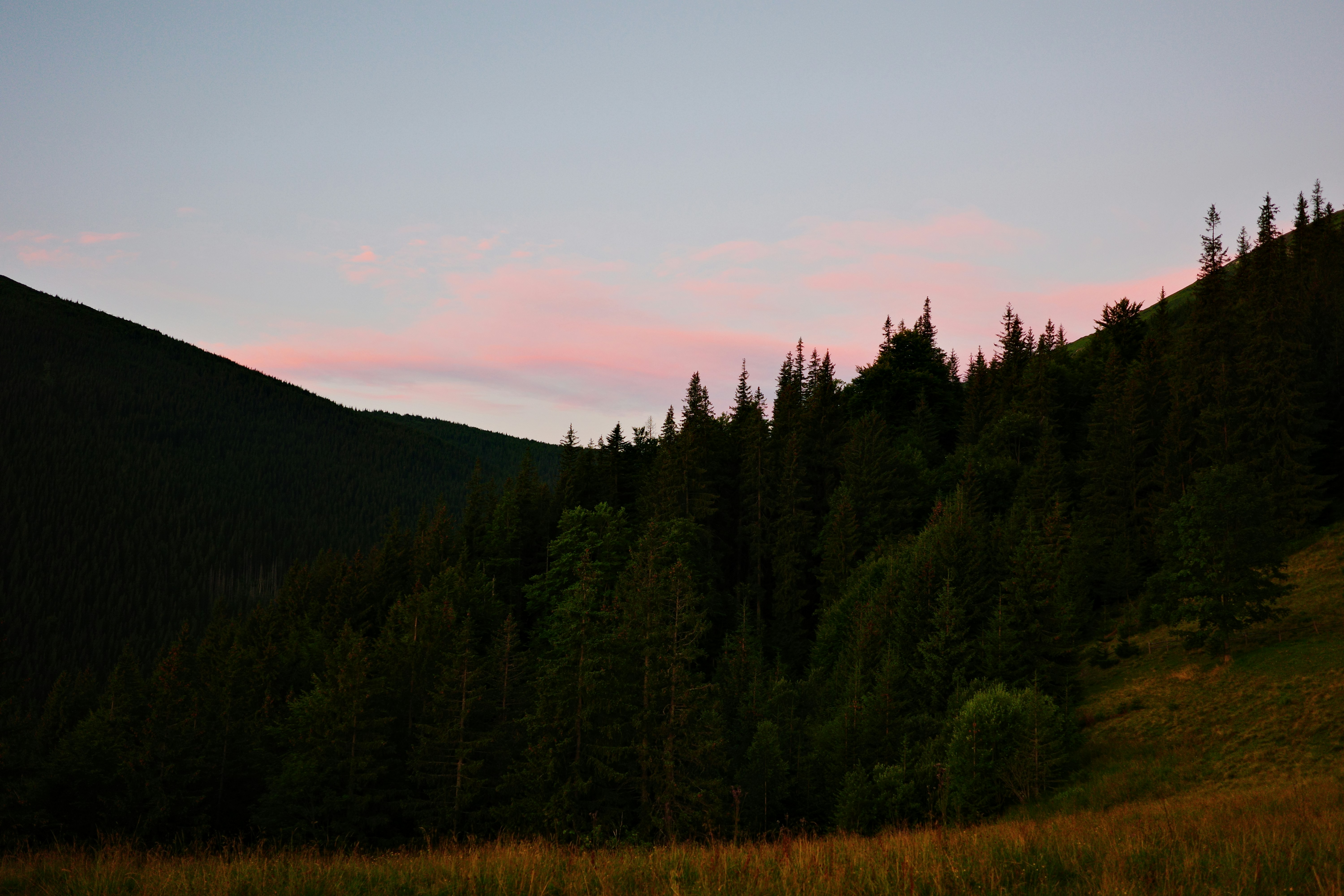 Photo by nalsur_vonakhus