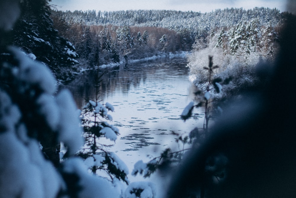 a lake surrounded by snow covered trees and a forest