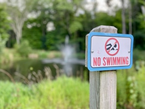A wooden post supports a sign with 'No Swimming' written in bold red letters, accompanied by a graphic symbol indicating prohibition. The background features a pond surrounded by lush green vegetation and tall grasses, with a fountain in the center of the water.