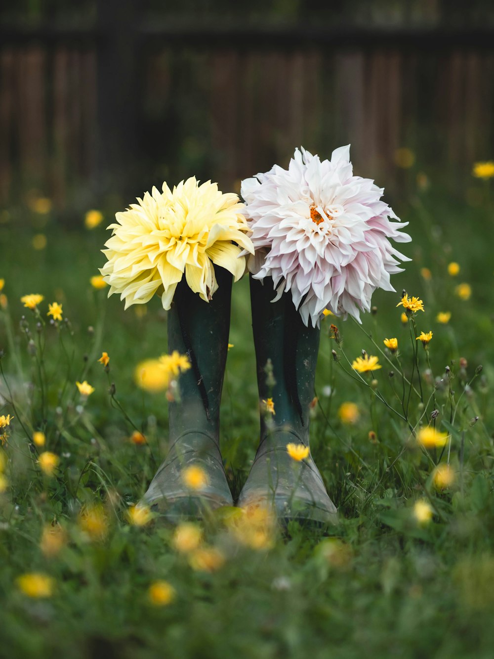 a pair of rubber boots with flowers in them