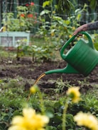 A garden scene featuring a hand holding a green watering can, pouring water onto plants. The background includes various green plants with a few hints of red flowers and a wire fence.