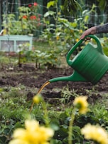 A garden scene featuring a hand holding a green watering can, pouring water onto plants. The background includes various green plants with a few hints of red flowers and a wire fence.