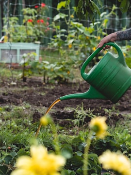 A garden scene featuring a hand holding a green watering can, pouring water onto plants. The background includes various green plants with a few hints of red flowers and a wire fence.