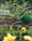 A smiling woman holding a green Aqualume watering can in her backyard garden.