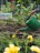 A smiling woman holding a green Aqualume watering can in her backyard garden.