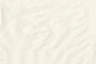 a close up of a white paper textured background