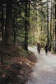 A serene group of mature travelers enjoying a quiet nature trail in Paraná.