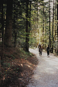 A serene group of mature travelers enjoying a quiet forest trail in Paraná
